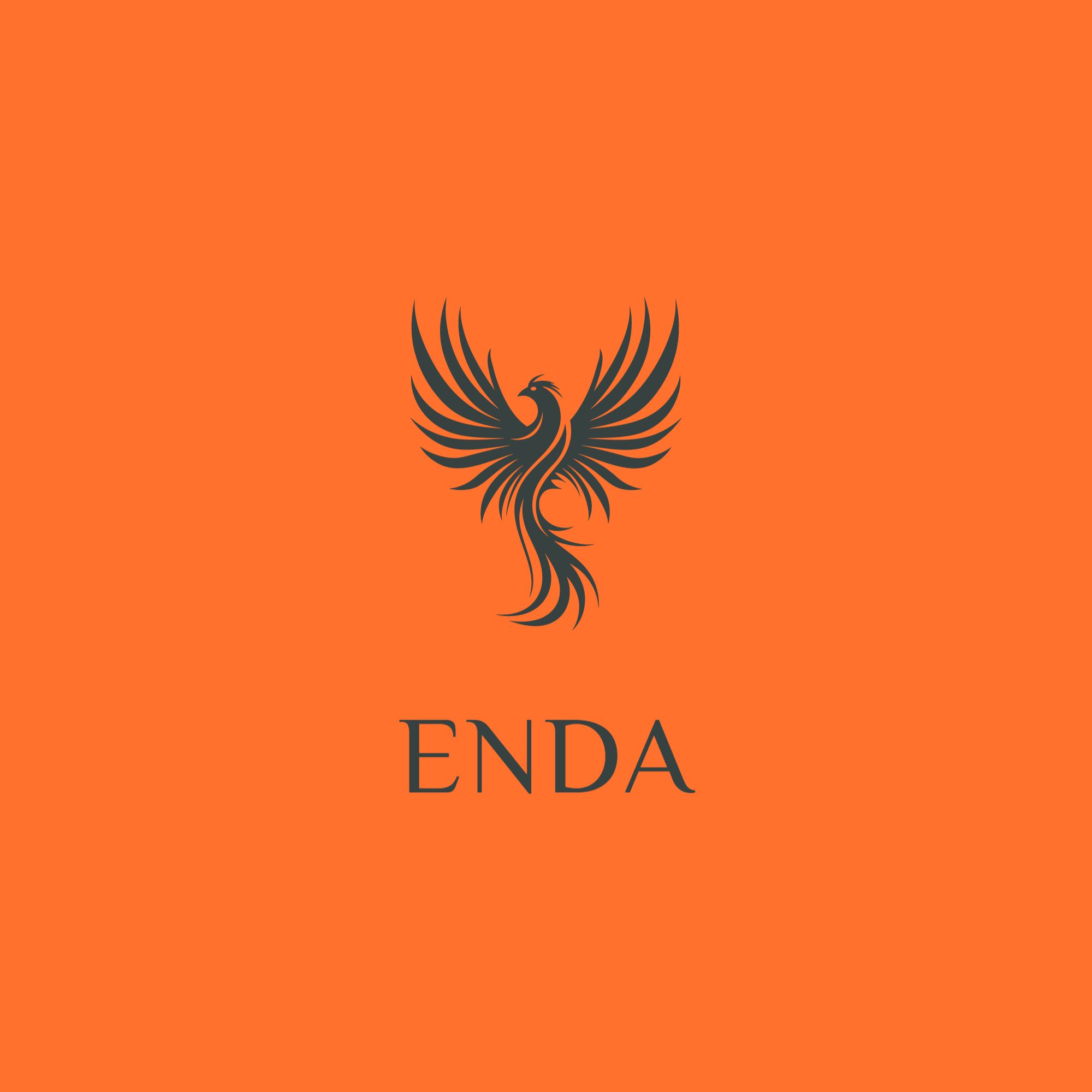 ENDA AKADEMİ KOÇLUK/MENTÖRLÜK