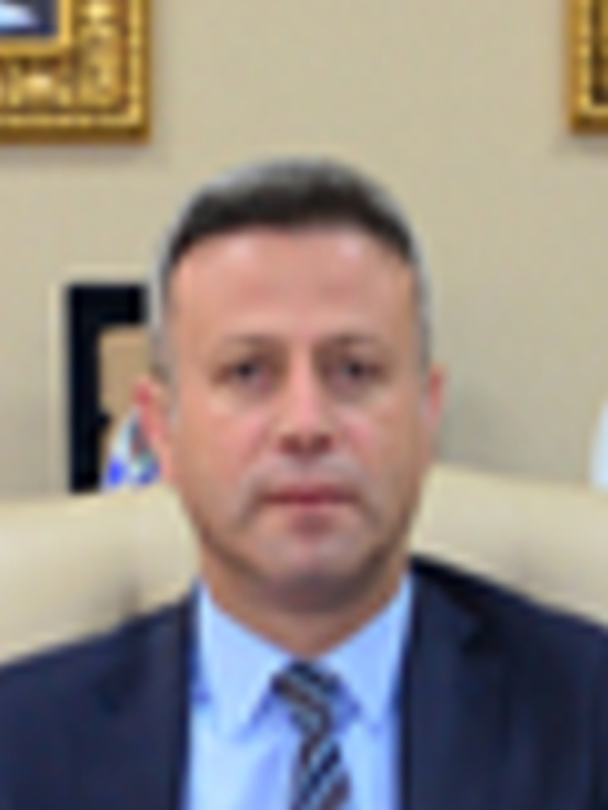 Şahin Demir