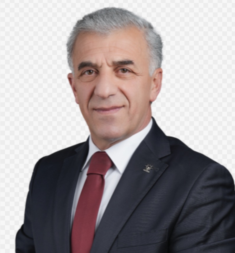 Hanefi TOK