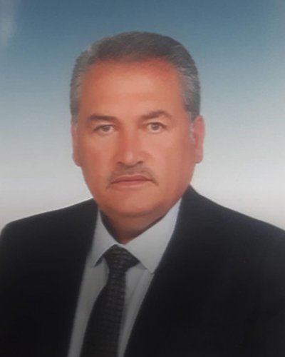 Birol DEMİRDELEN
