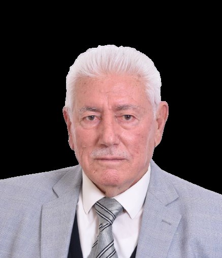 Mehmet KAYA