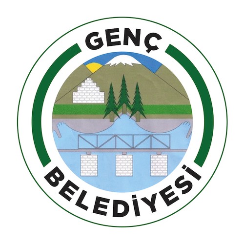 Young Mayors Association (BINGOL)
