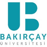 İzmir Bakırçay Üniversitesi