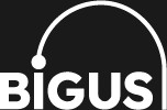 Bilgi İletişim Güvenliği Uyum ve Siber Dayanıklılık Derneği (BİGUS)